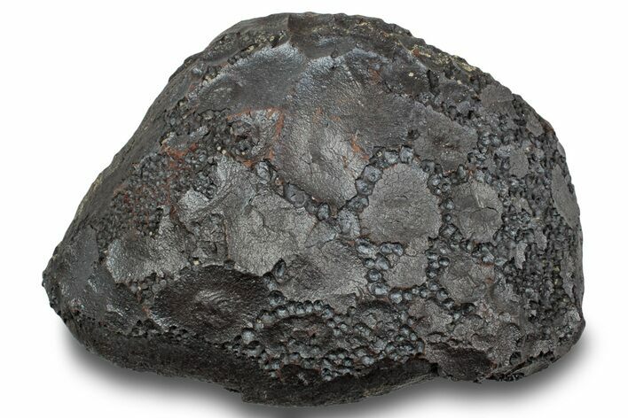 Dragon Scale Stone (Iron, Manganese, Siderite Nodule) #244980